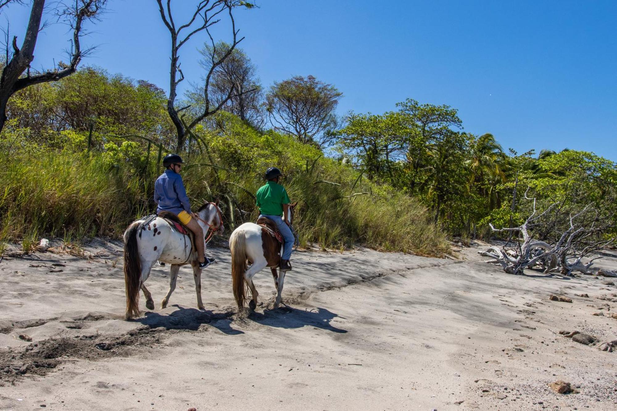 Luxury Vacation Rentals At Hacienda Pinilla Tamarindo Eksteriør billede